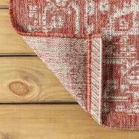 Malta Bohemian Medallion Textured Weave Indoor/Outdoor Red/Taupe Area Rug