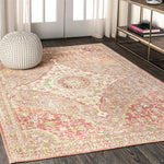 Petras Modern Ornate Medallion Brown/Pink Area Rug