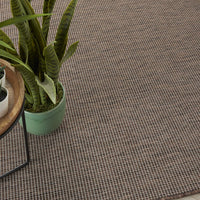 Flat-Weave Indoor/Outdoor Natural Soft Area Rug