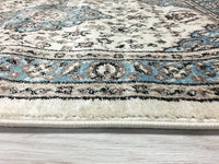 Traditional Blue Medallion Floral Area Rug