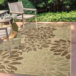 Floral Indoor Outdoor Area Rug, Sage/Brown