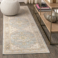 Goa Floral Medallion Traditional Light Blue/Ivory Soft Area Rug