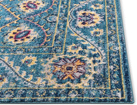 Carson Agra Medallion Persian Vintage Bohemian Blue Area Rug