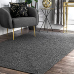 Braided Handmade Charcoal Indoor/Outdoor Soft Area Rug