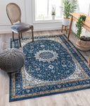 Traditional Vintage Medallion Oriental Blue Area Rug