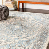 Traditional Pale Blue Gray white Area Rugs