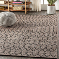 Moroccan Geometric Textured Weave Indoor/Outdoor Natural Area Rug 8 x 10