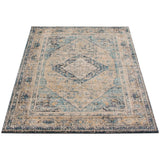 Medallion Distressed Bijar Casual Soft Rug