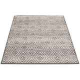 Grey Ember Transitional Rug