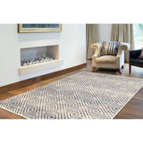 Grey Ember Transitional Rug