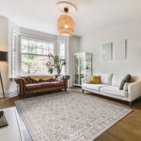 Alexandra Grey Ivory Transitional Soft Rug