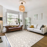 Alexandra Grey Ivory Transitional Soft Rug