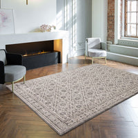 Alexandra Grey Ivory Transitional Soft Rug