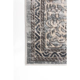 Blue Grey Bijar Casual Soft Rug