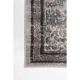 Blue Grey Bijar Casual Soft Rug