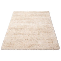 Modern Contemporary Cream Shag Area Rug