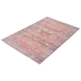 Machine Washable Bohemian & Eclectic Soft Rug