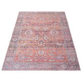 Machine Washable Bohemian & Eclectic Soft Rug