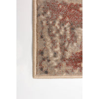 Taupe Modern & Contemporary Soft Rug