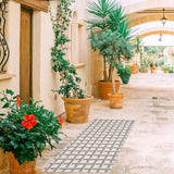 Checkered Blue Indoor/ Outdoor Soft Rug