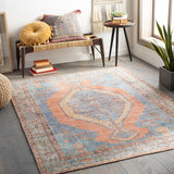 Vintage Medallion Printed Machine Washable Area Soft Rug