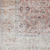 Traditional Floral Machine Washable Area Soft Rug