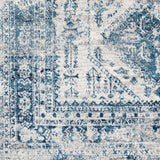 Distressed Persian Pattern Sky Blue Light Gray Soft Area Rug