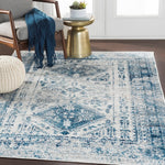 Distressed Persian Pattern Sky Blue Light Gray Soft Area Rug