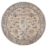 Strete Faded Traditional Soft Area Rug