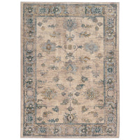 Strete Faded Traditional Soft Area Rug