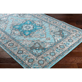 Traditional Medallion Blue Gray Area Rug