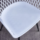 Indoor and Outdoor Plastic Dining Chair, Side Chair (Set of 2) - N/A