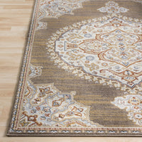 Vintage Ivory Brown Area Rug