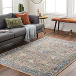 Traditional Indoor/ Outdoor Area Rug