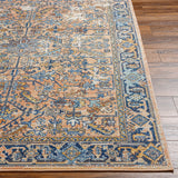 Parinam Traditional Indoor/ Outdoor Area Rug