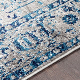 Traditional Distressed Persian Pattern Sky Blue Light Gray Soft Area Rug