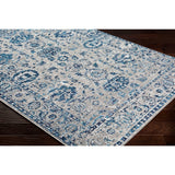 Traditional Distressed Persian Pattern Sky Blue Light Gray Soft Area Rug