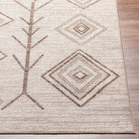 Machine Washable Geometric Bohemian Area Rug