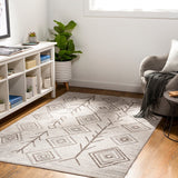 Machine Washable Geometric Bohemian Area Rug