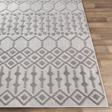 Rozelle Moroccan Indoor/ Outdoor Polypropylene Area Rug