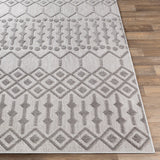 Rozelle Moroccan Indoor/ Outdoor Polypropylene Area Rug