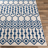 Rozelle Moroccan Indoor/ Outdoor Polypropylene Area Rug