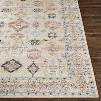 Persian Machine Washable Indoor/Outdoor Area Rug – Ashley Area Rugs