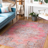 Serapi Asel Medallion Distressed Machine Washable Soft Rug