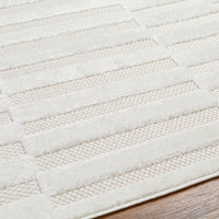 Diego Indoor/ Outdoor Striped Soft Area Rug