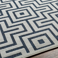 Mid-Century Indoor/ Outdoor Area Rug