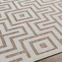 Mid-Century Indoor/ Outdoor Area Rug