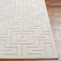 Mid-Century Indoor/ Outdoor Area Rug