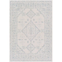 Indoor / Outdoor Updated Traditional Area Rug