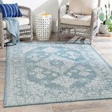 Indoor / Outdoor Updated Traditional Area Rug